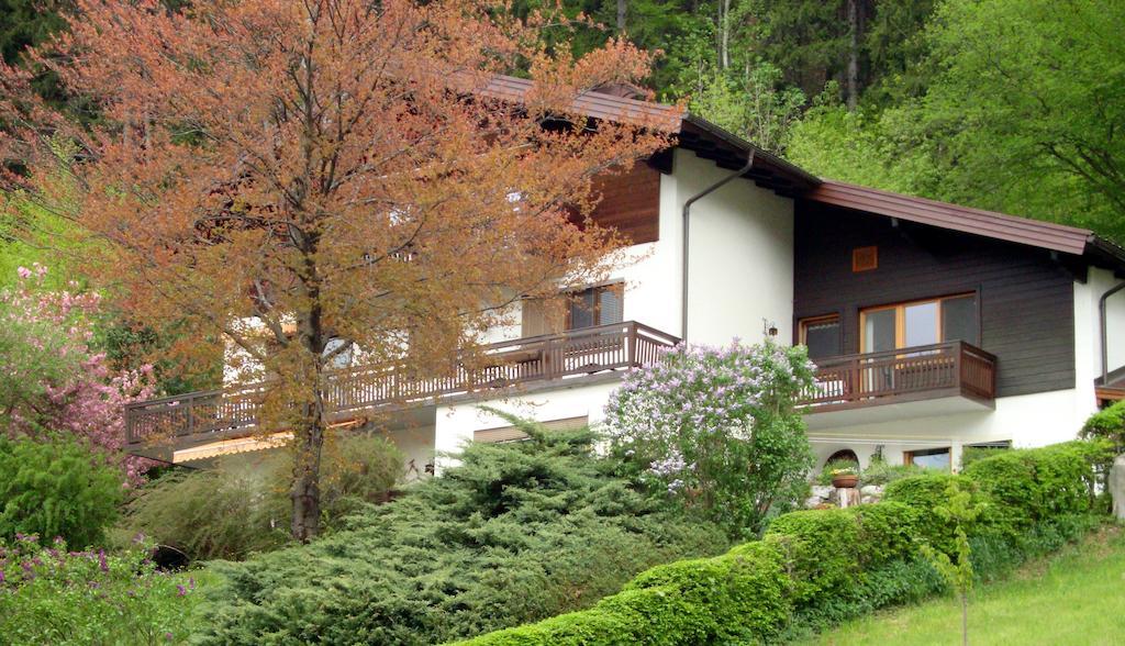 Haus Margrit Ferienwohnung In Sonnenlage Golling an der Salzach Bagian luar foto